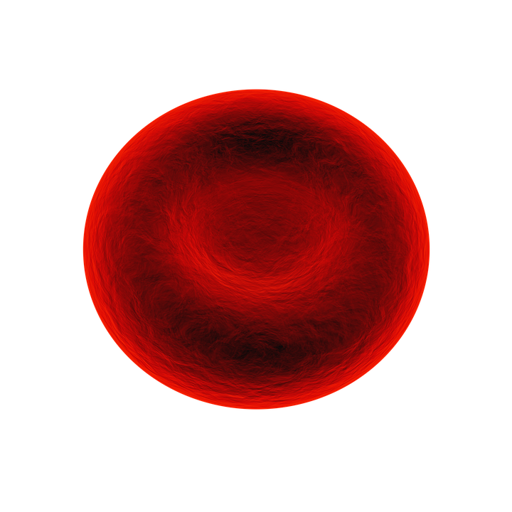 live blood cell analysis